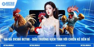 Đá Gà Sv388 BET88 - Đấu Trường Kịch Tính Với Chiến Kê Bền Bỉ